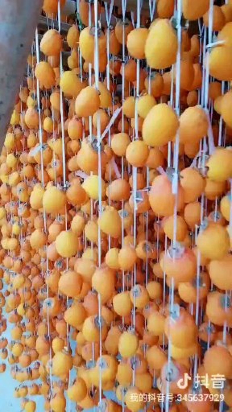 供应：柿饼~独立包装~