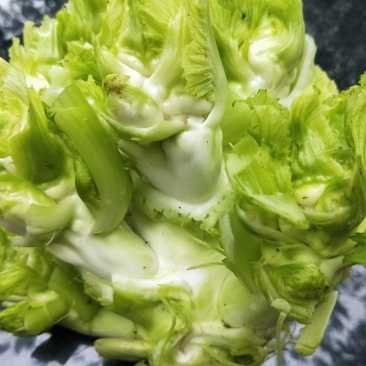 精品大儿菜