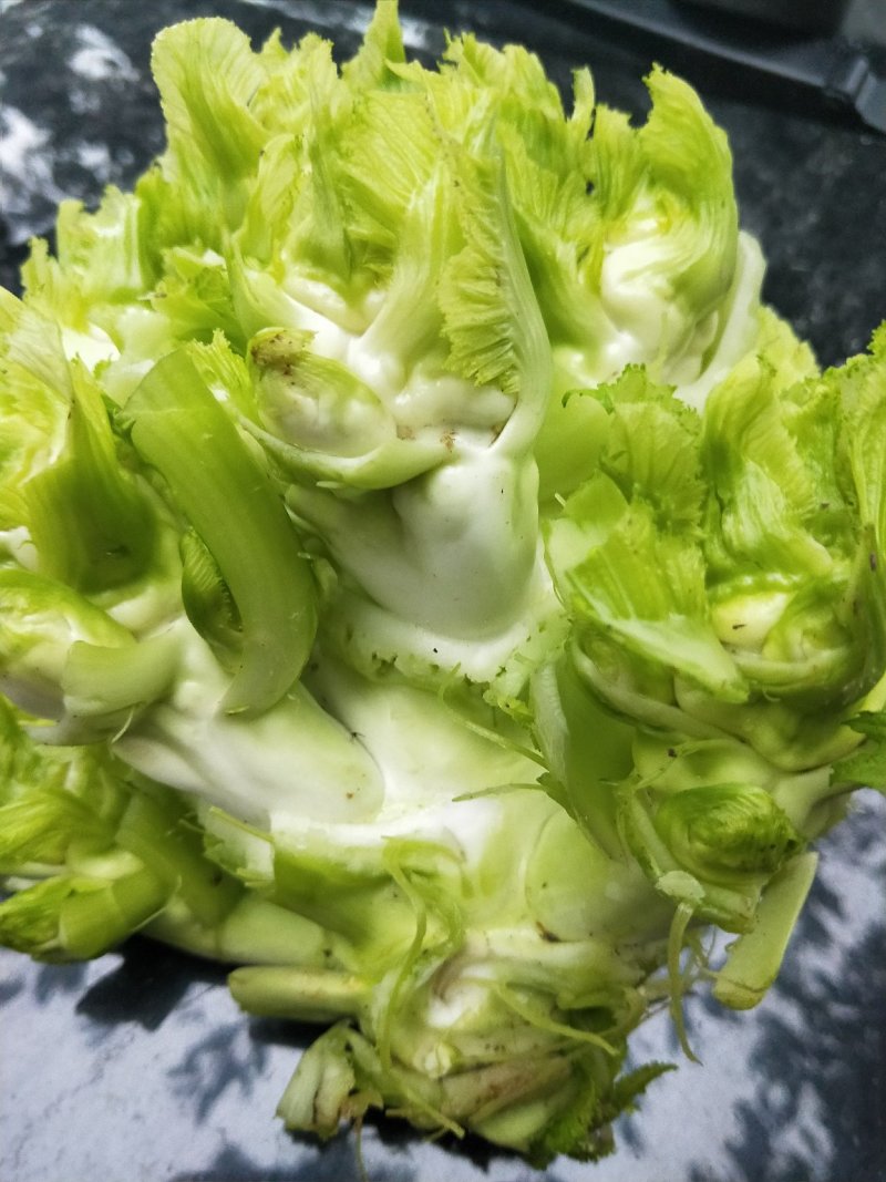 精品大儿菜