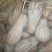 优质南瓜蜜本南瓜产地一手货源量大从优对接批发