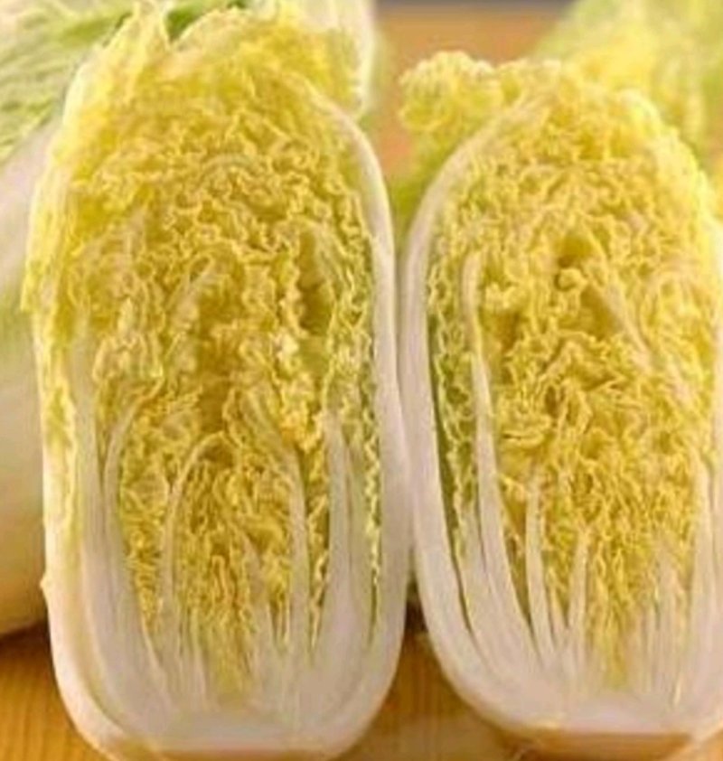 【精品】娃娃菜，地头看货，一首货源，基地直供产地供应