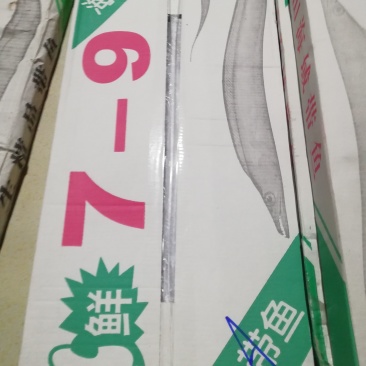 舟山刀鱼