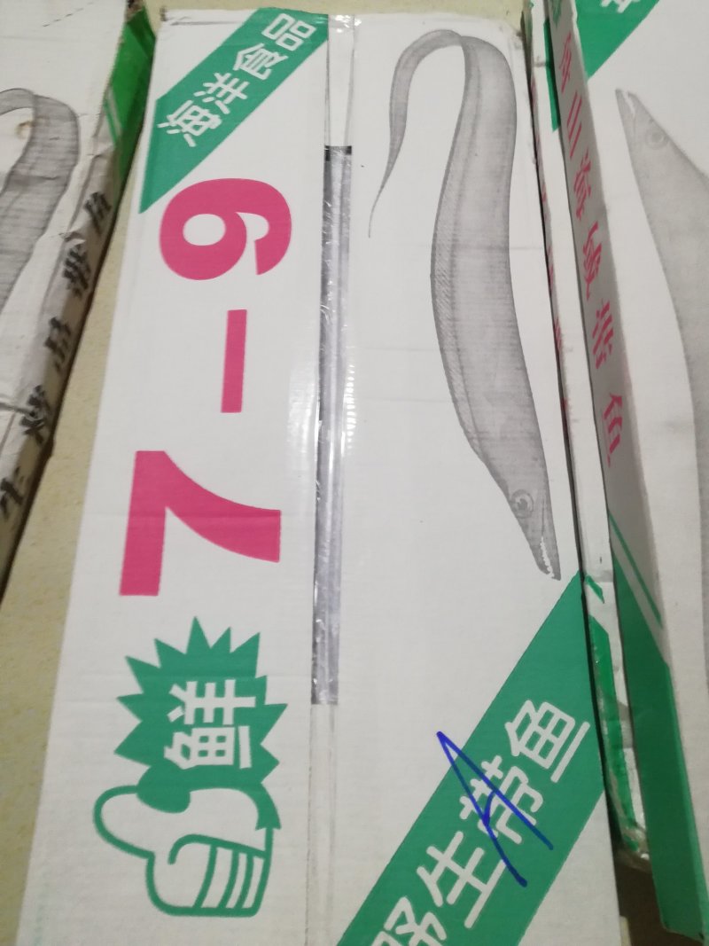 舟山刀鱼