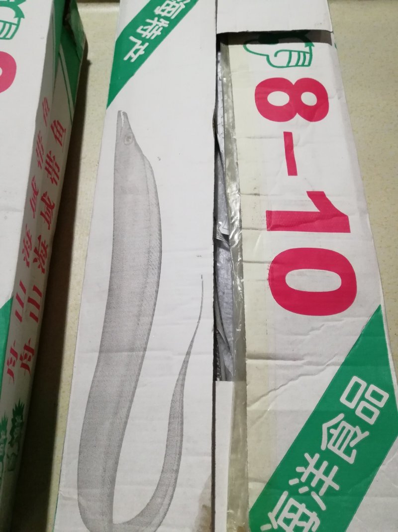 舟山刀鱼