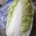小包头，北京新三号，绿无干烧心，无虫眼个头均匀
