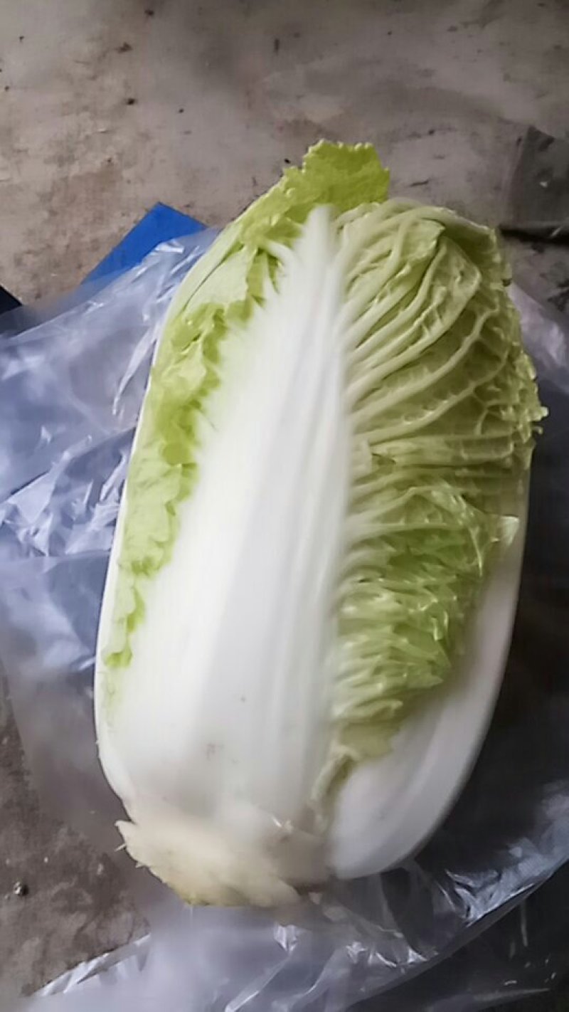 小包头，北京新三号，绿无干烧心，无虫眼个头均匀