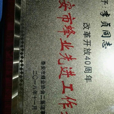 泰山千亩槐林原生态成熟槐花蜜1斤