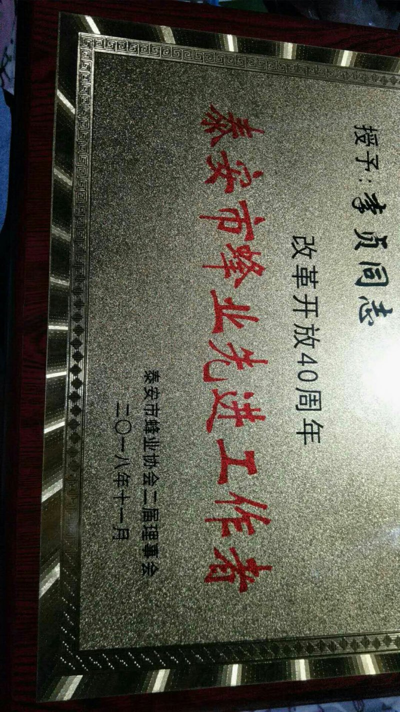 泰山千亩槐林原生态成熟槐花蜜1斤