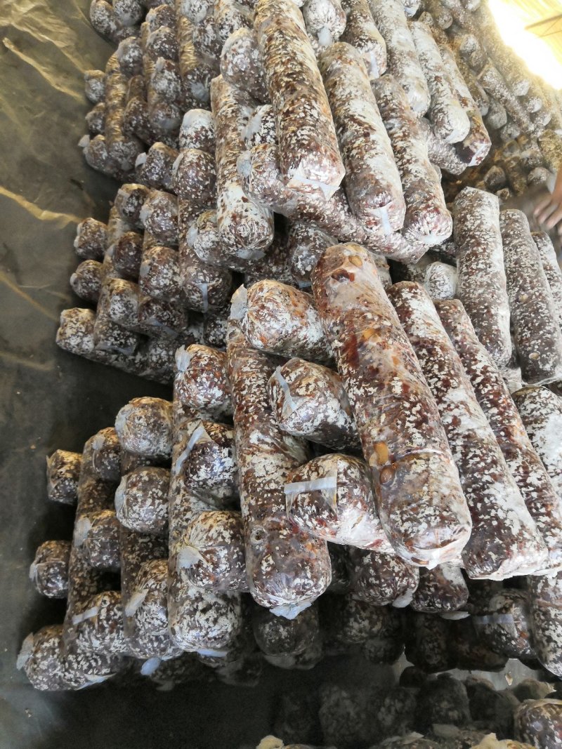 北方食用菌发源地（利东食用菌合作社）