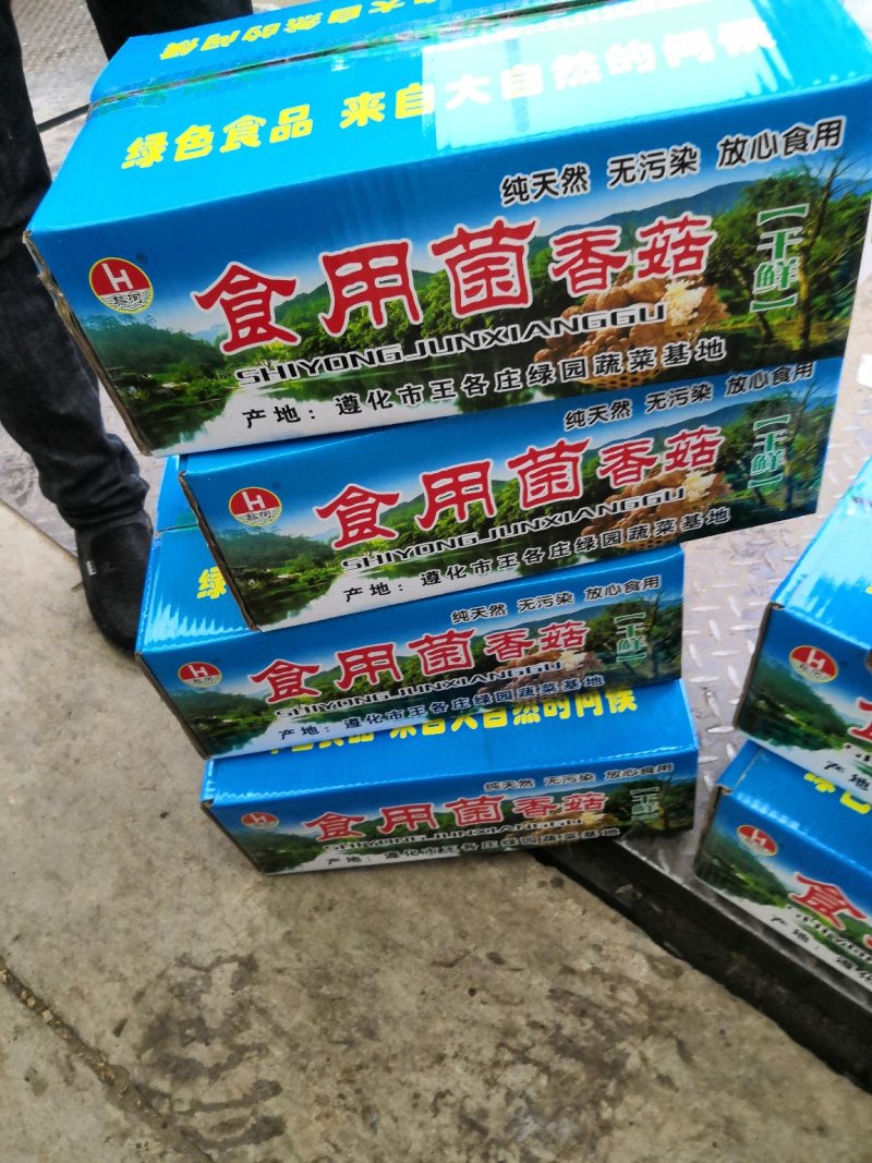 北方食用菌发源地（利东食用菌合作社）