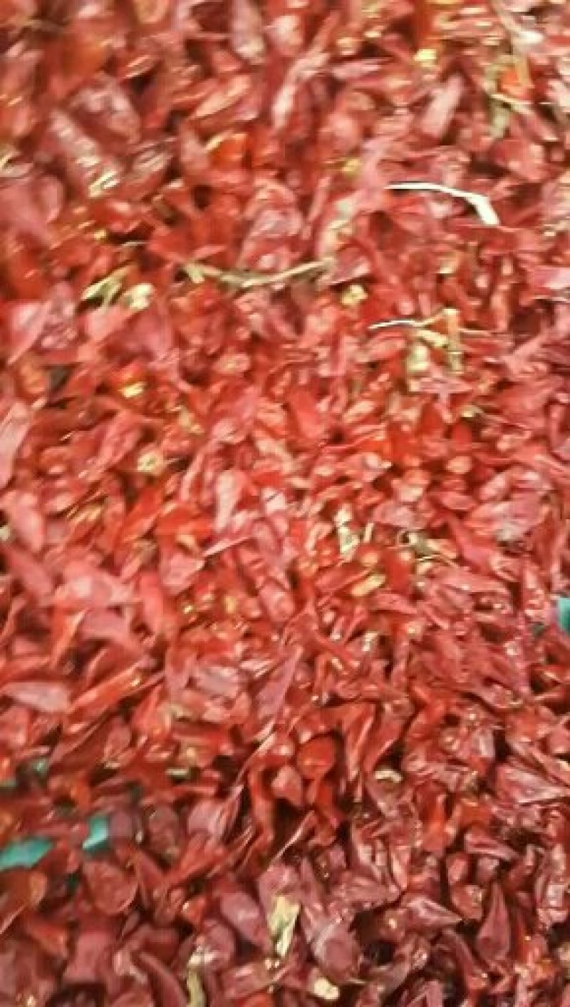 辽宁凌海干椒大量，品种有板椒和朝天椒