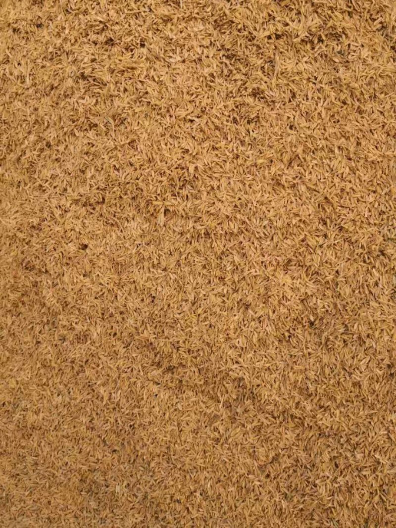 有机肥