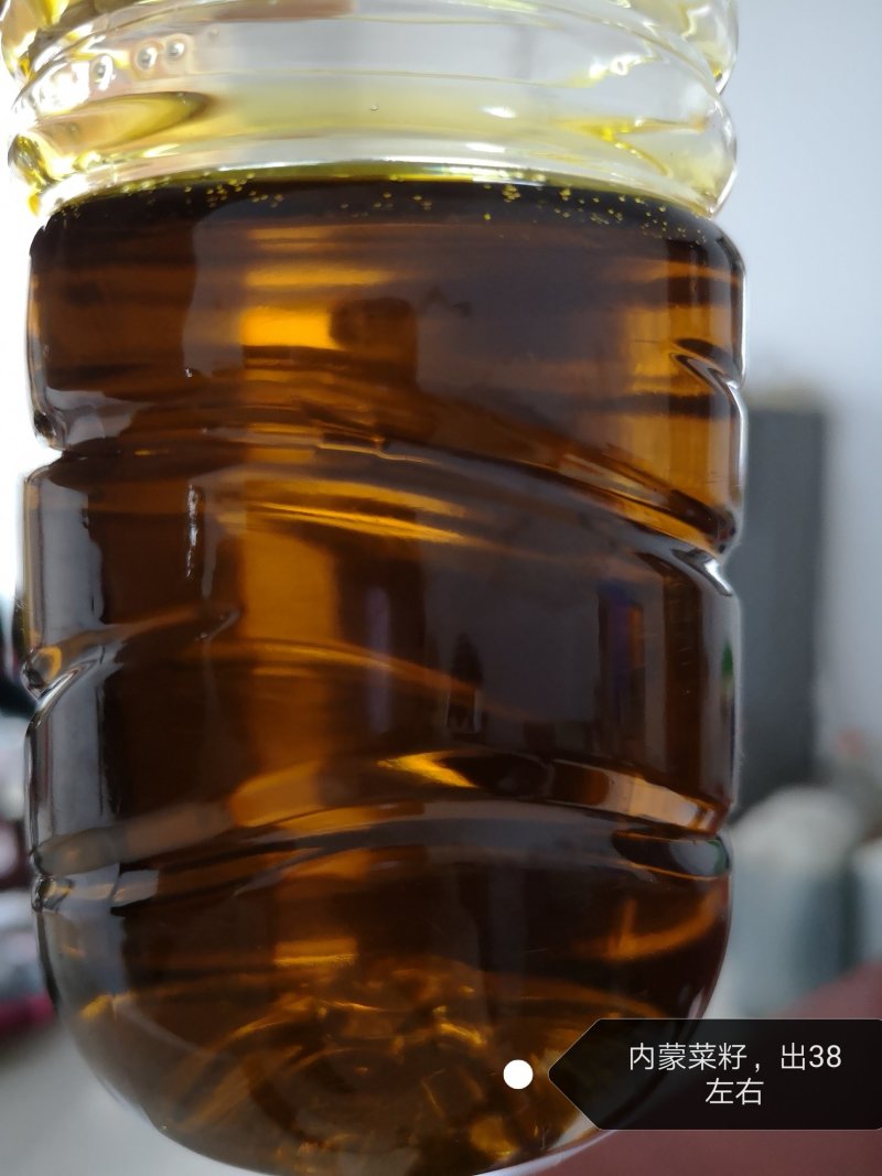 油菜籽