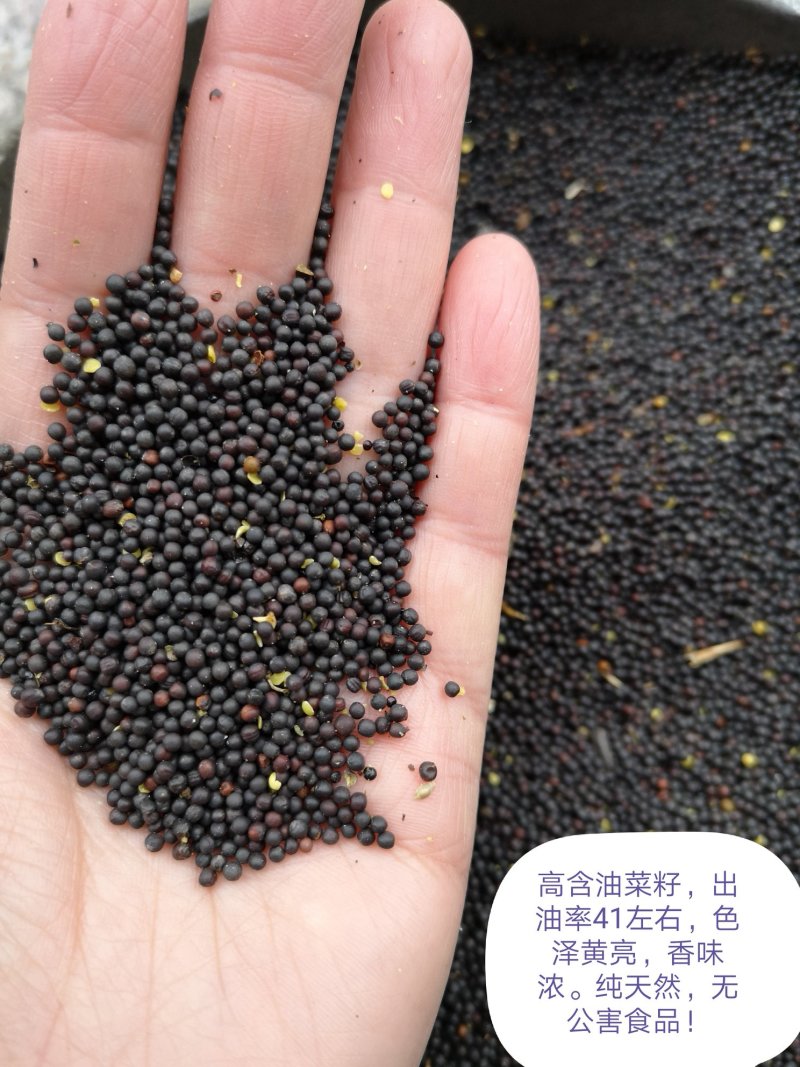 油菜籽