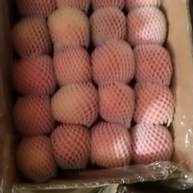 苹果