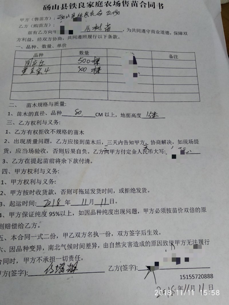 黄金冠黄桃:不套袋全黄，可上市场做商品果，可以做罐头果