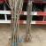 供应大红袍板栗树苗嫁接油栗子苗1-3年苗
