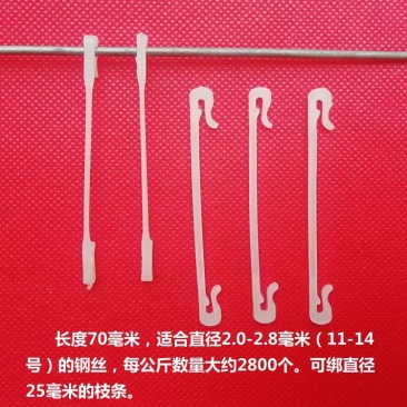 白色7公分绑枝卡