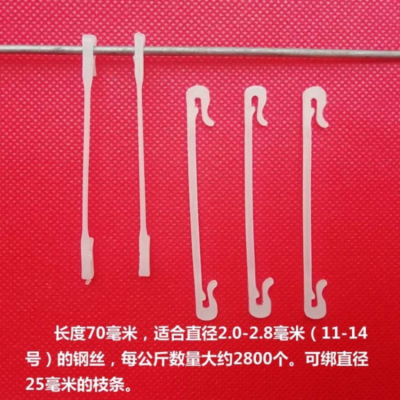 白色7公分绑枝卡