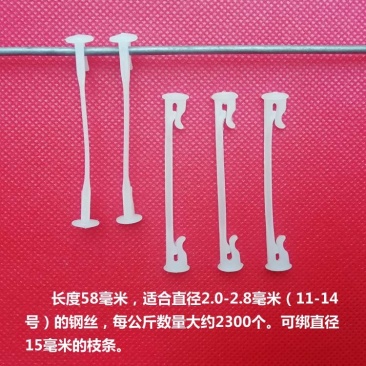 白色5.8厘米绑枝卡