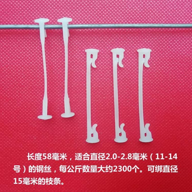 白色5.8厘米绑枝卡