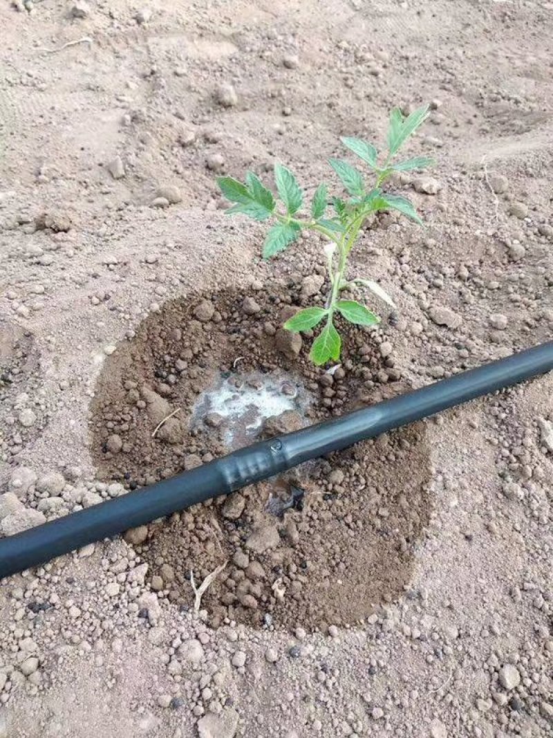 滴灌管