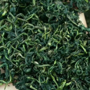 蒲公英优质茶，来自河南万亩蒲公英基地。健康你我他