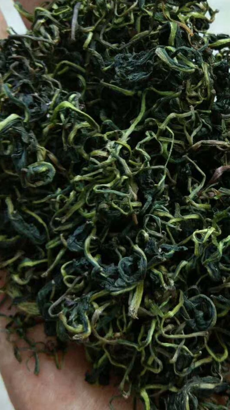 蒲公英优质茶，来自河南万亩蒲公英基地。健康你我他