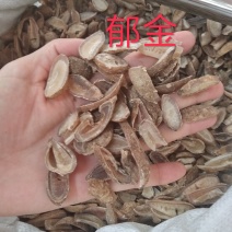 郁金新货选片无硫磺安全放心绿色健康药材