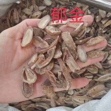 郁金新货选片无硫磺安全放心绿色健康药材