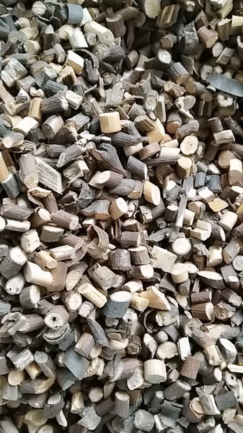 桂枝，中药材桂枝