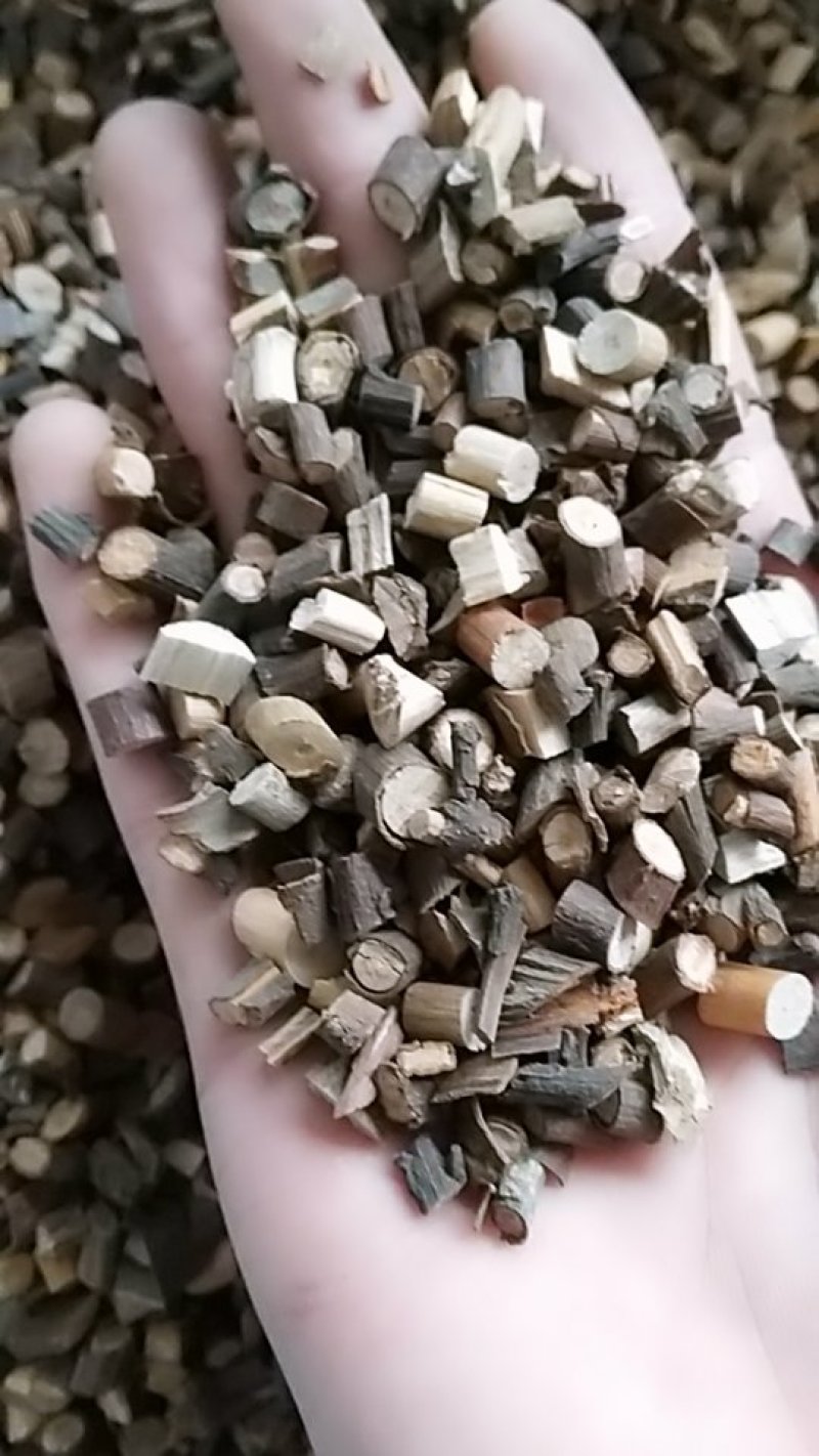 桂枝，中药材桂枝