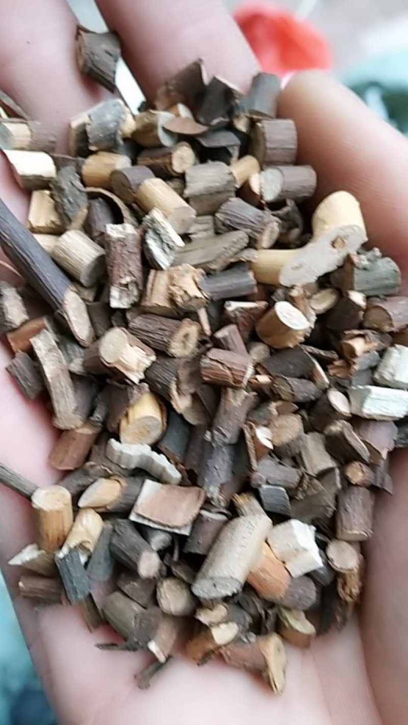 桂枝，中药材桂枝