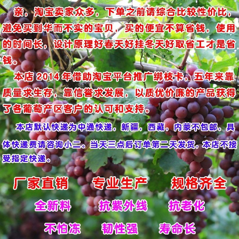 黑色宽头60毫米葡萄树绑枝卡绑枝扎丝绑蔓卡子绑枝卡扣枝条