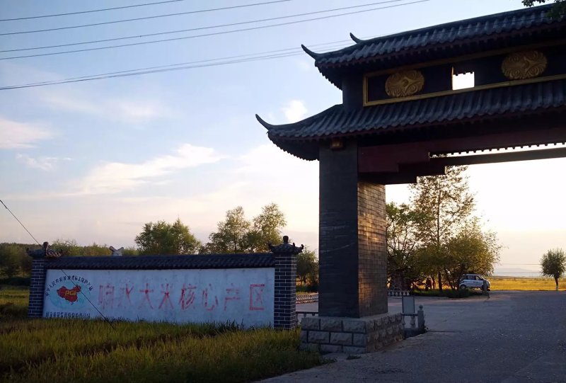纯正石板大米