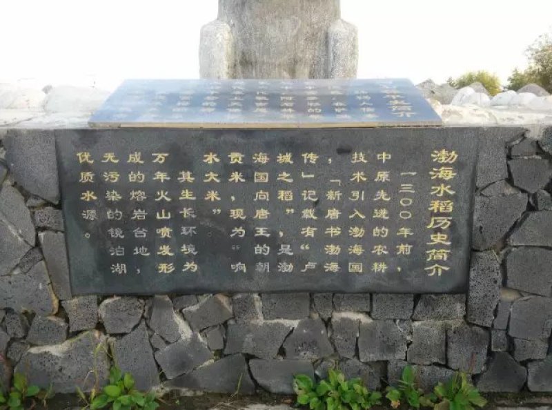 纯正石板大米