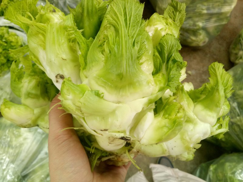 儿菜降价