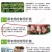 黑老虎