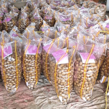 荷兰十五土豆精品1两以下