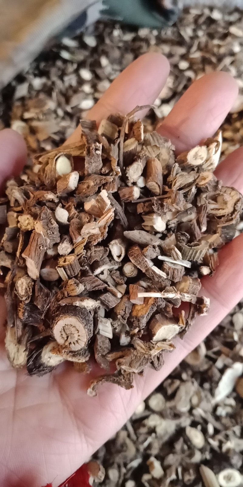 前胡毛前胡信前胡都有批发零售各种规格中药材