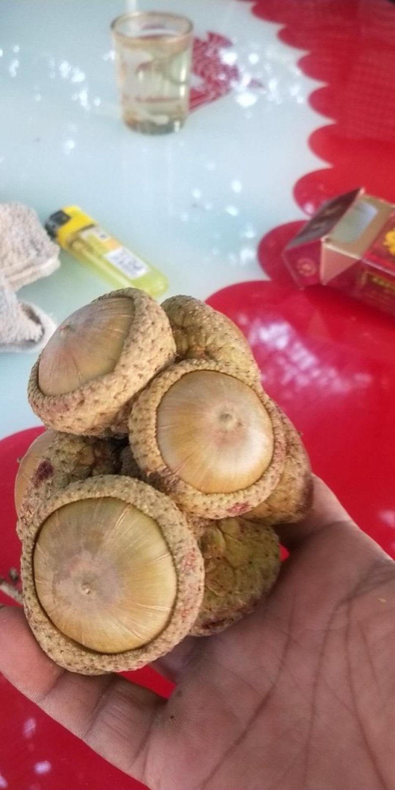 风流壮阳果