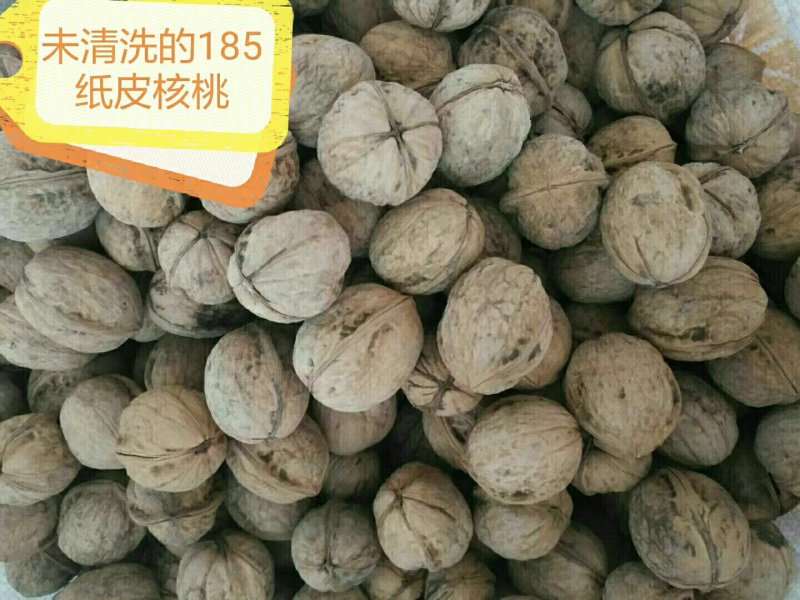 精选原生态未清洗纸皮核桃100元三公斤，新疆阿克苏直发，