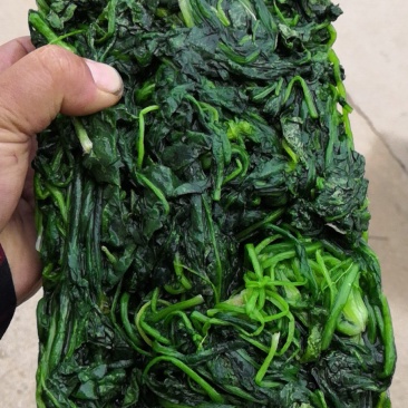 速冻荠菜，