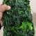 速冻荠菜，