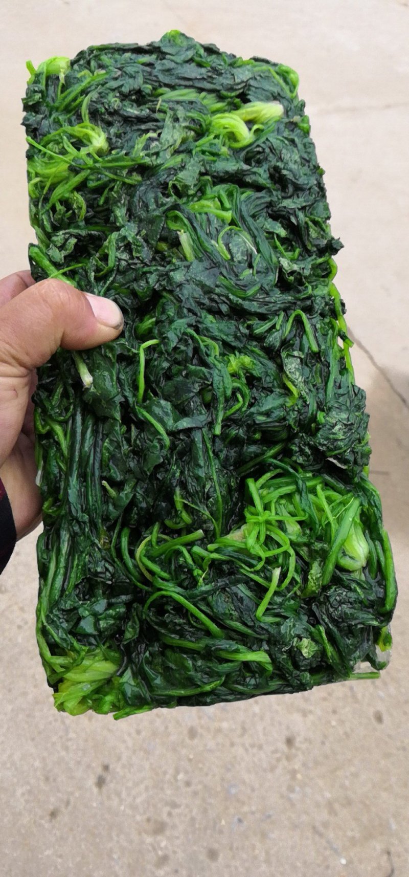 速冻荠菜，