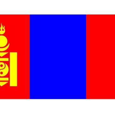 蒙古国熟牛肉，羊肉