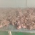 蒙古国熟牛肉，羊肉