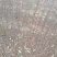 大红袍花椒苗,规格.0.80公分(温馨提示:不包邮)