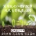 四川蚯蚓粪营养土有机肥园艺苗圃草坪肥料成都养殖场
