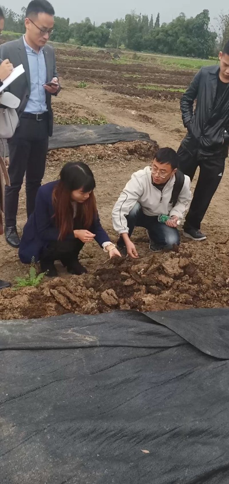 盒装蚯蚓全国发货钓鱼饵料活体蚯蚓蚯蚓垂钓